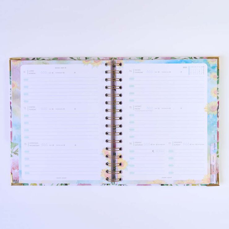 Agenda Takenote 17x21 sem/vista mult 2025 Clara