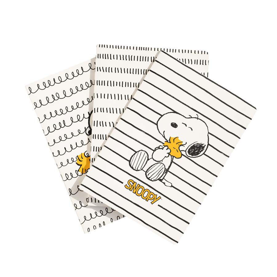 Set 3 Libretas A5 Snoopy Lazy Days