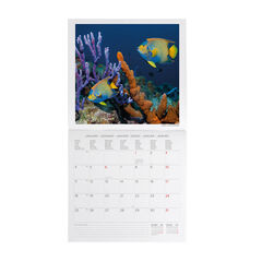 Calendario Legami 30x29 Pared Under The Sea Multiling&uuml;e 2027