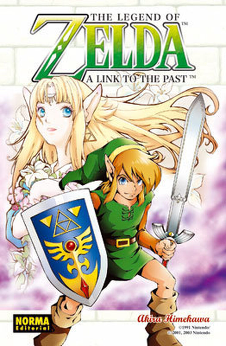 The Legend of Zelda 04: A link to the pas