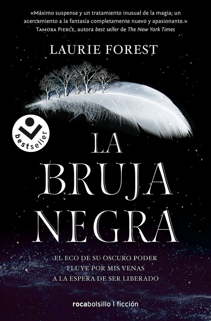 La bruja negra (Las crónicas de la bruja negra 1)