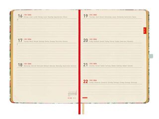Agenda Finocam 18 meses M5 sem/vista mult 2025-26 daisy