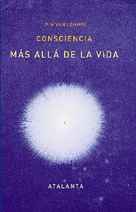 Consciencia m&aacute;s all&aacute; de la vida.