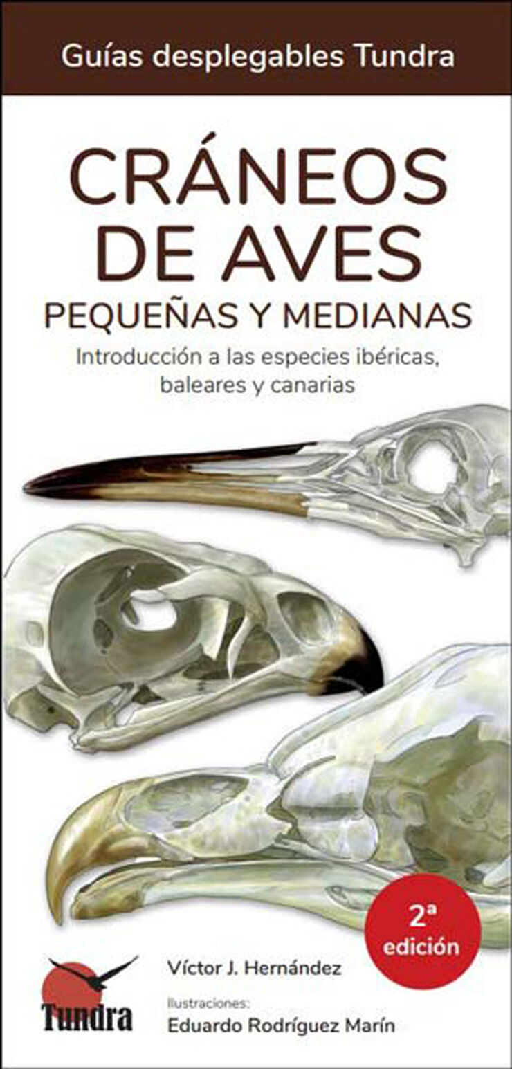 Cráneos de aves pequeñas y medianas. Introducción a las especies ibéricas, baleares y canarias - 2ª EDICIÓN