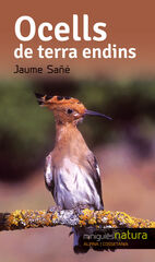 Ocells terra endins Ocells terra endins