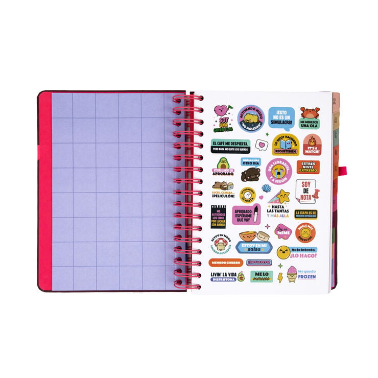 Agenda Mr. Wonderful Dia P&agrave;gina Full Aesthetic 2027 Multicolor