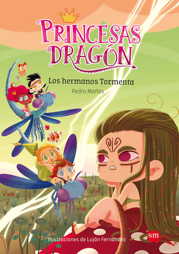 Princesas Dragón 5: Los hermanos Tormenta