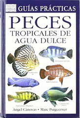 Peces tropicales de agua dulce Peces tropicales de agua dulce