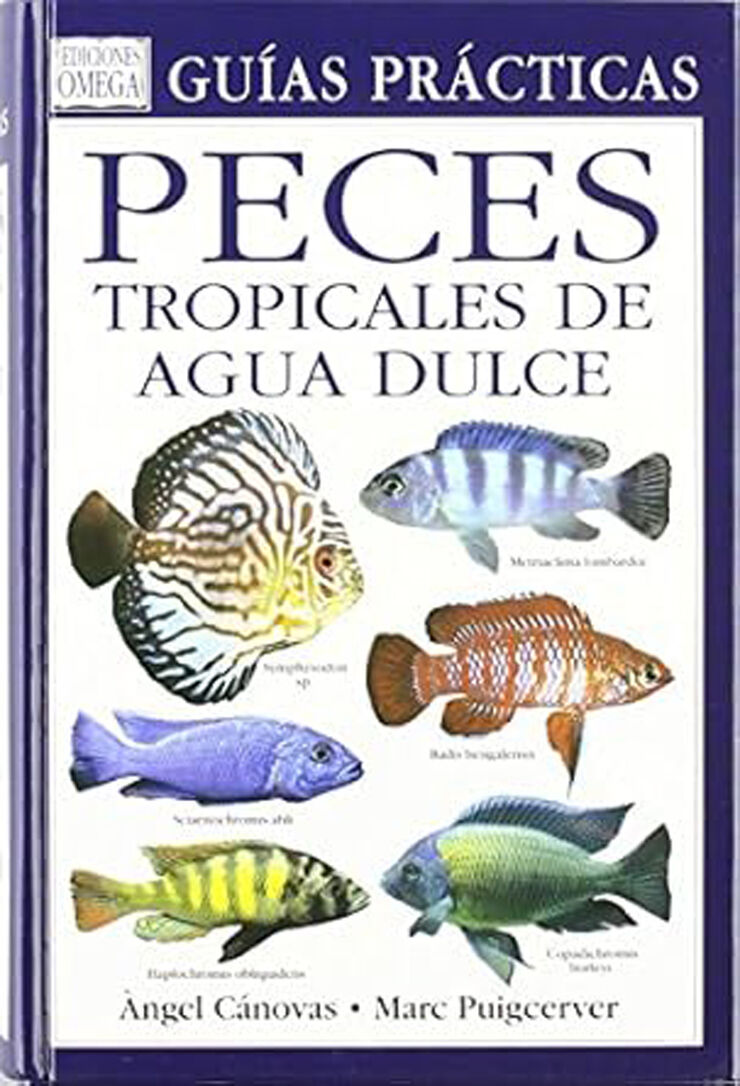 Peces tropicales de agua dulce