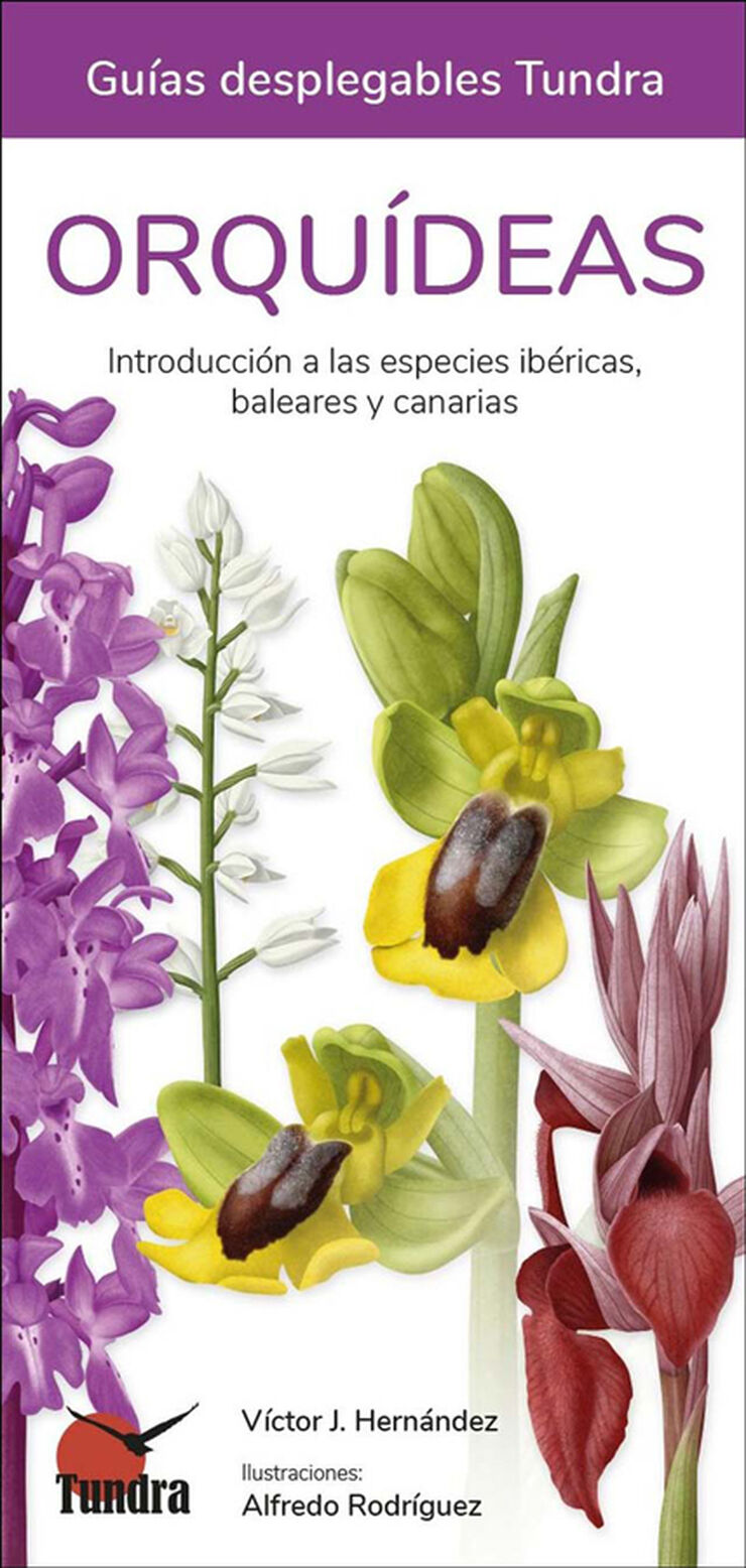 Orquídeas. Introducción a las especies ibéricas, baleares y canarias