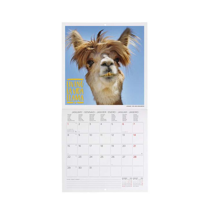 Calendario pared Legami 18X18 2024 Take It Easy