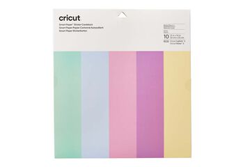 Cartolines Smart 33x33cm pastís 10u
