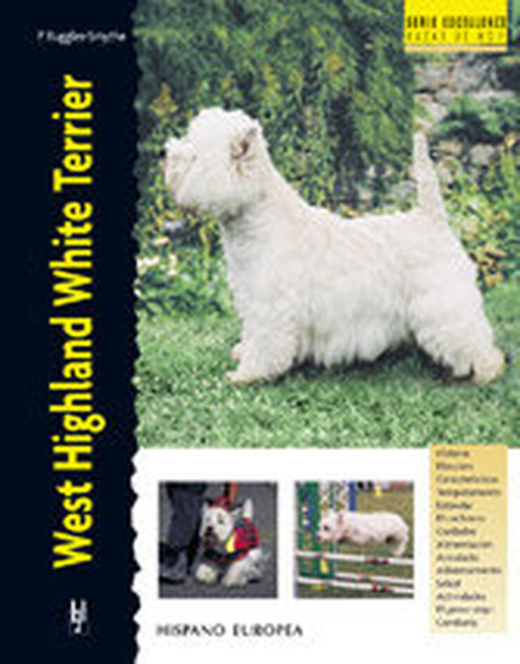 West Highland White Terrier