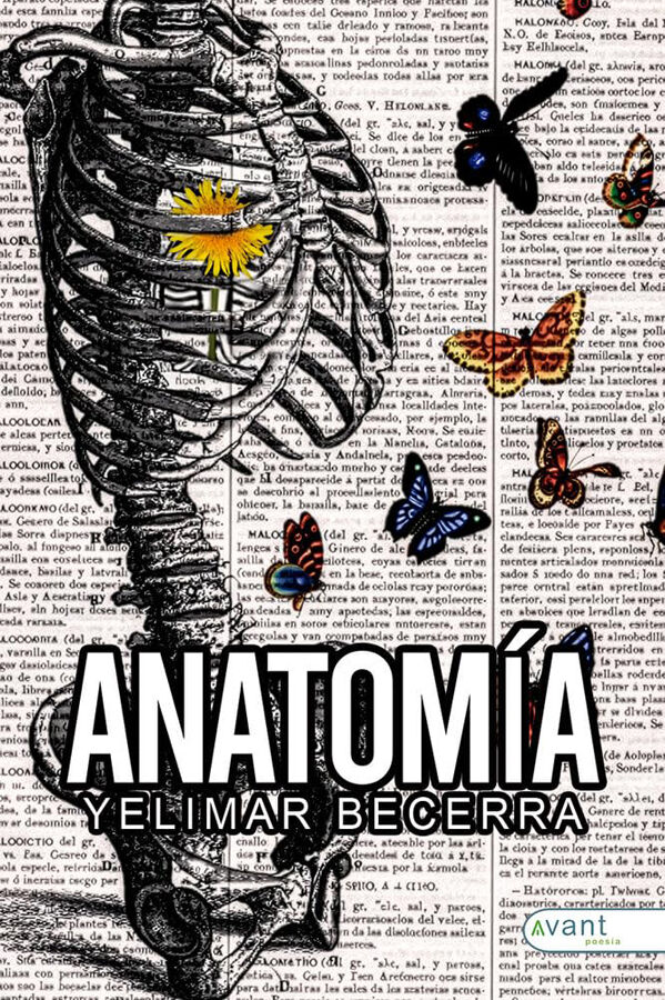 Anatom&iacute;a