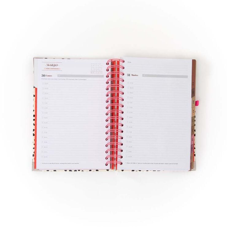 Agenda Mr.Wonderful Office día/pág 2026 cast Aquí y ahora