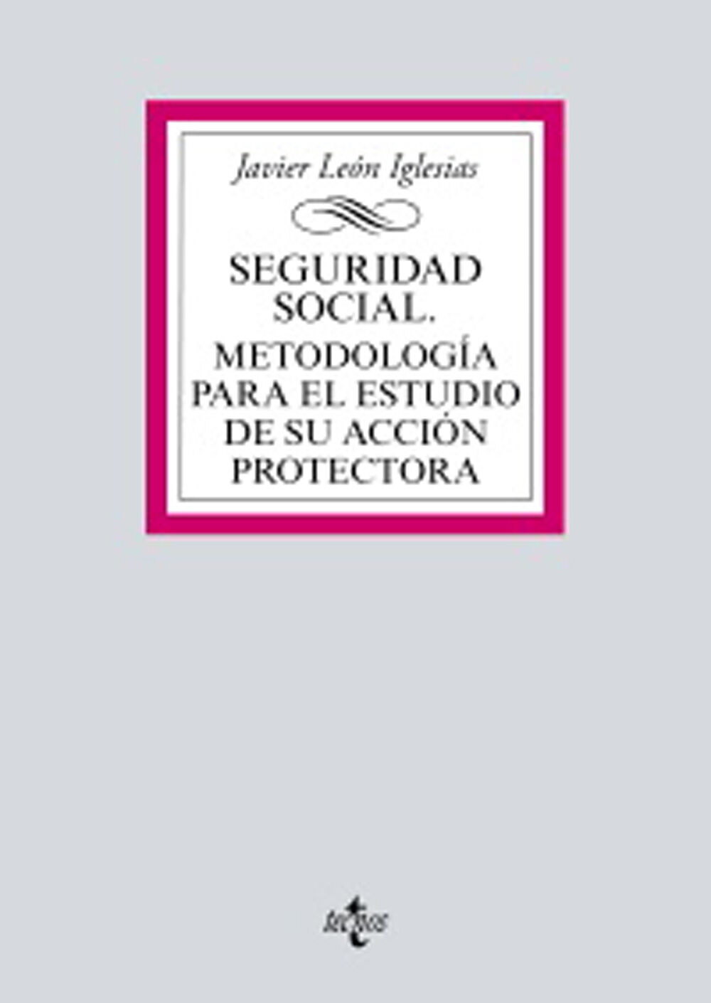 Seguridad Social. Metodolog&iacute;a para el estudio de su acci&oacute;n protectora