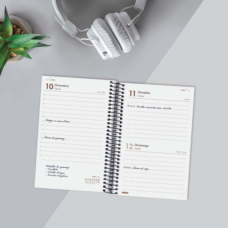 Agenda Finocam Year E5 día/pág cat 2025 negro