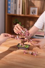 Maqueta Rolife Bonsai Sakura