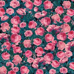 Infusible Ink transfer 30,5x30,5cm rosas 2 hojas