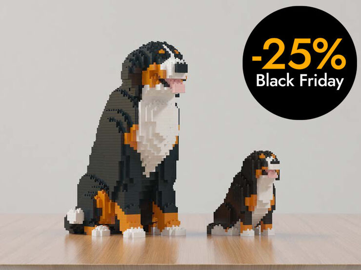 Jekca Bover de Berna Mini