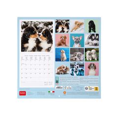 Calendario pared Legami 30X29 2024 Puppies