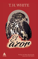 AZOR, EL AZOR, EL