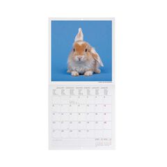 Calendario Pared Legami m/vista 2025 Honey Bunny