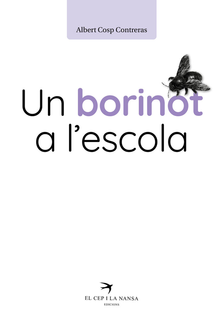 Un borinot a l'escola