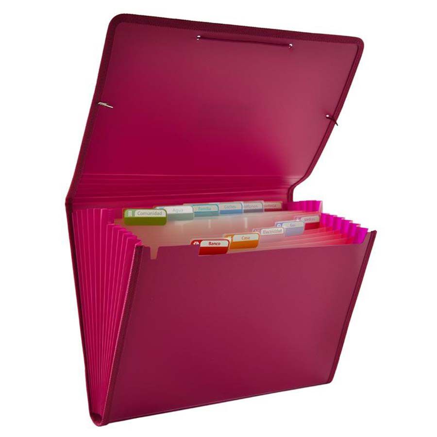 Carpeta clasificadora A4 Office Box