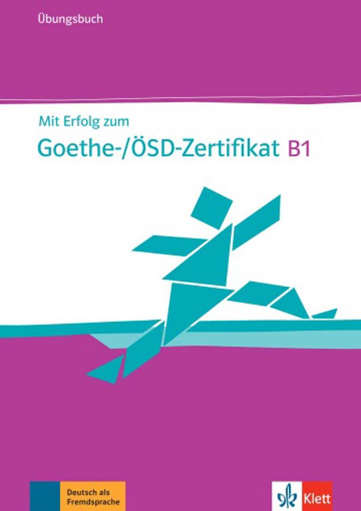 Mit Erfolg Goethe Arbeitsbuch+Cd