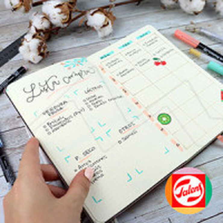 Set Bullet Journal Talens menta