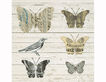 Tovallons de paper Butterflies - 20 unitats (33x33 cm)