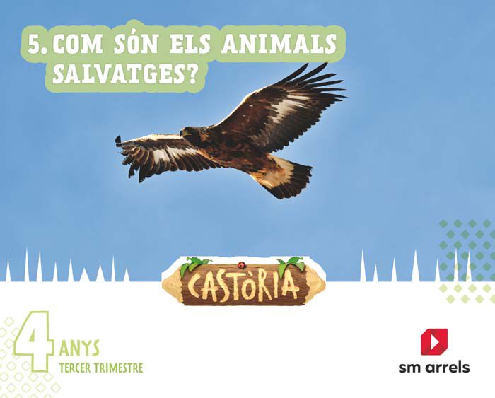 V - 4 a&ntilde;os Castoria 3T