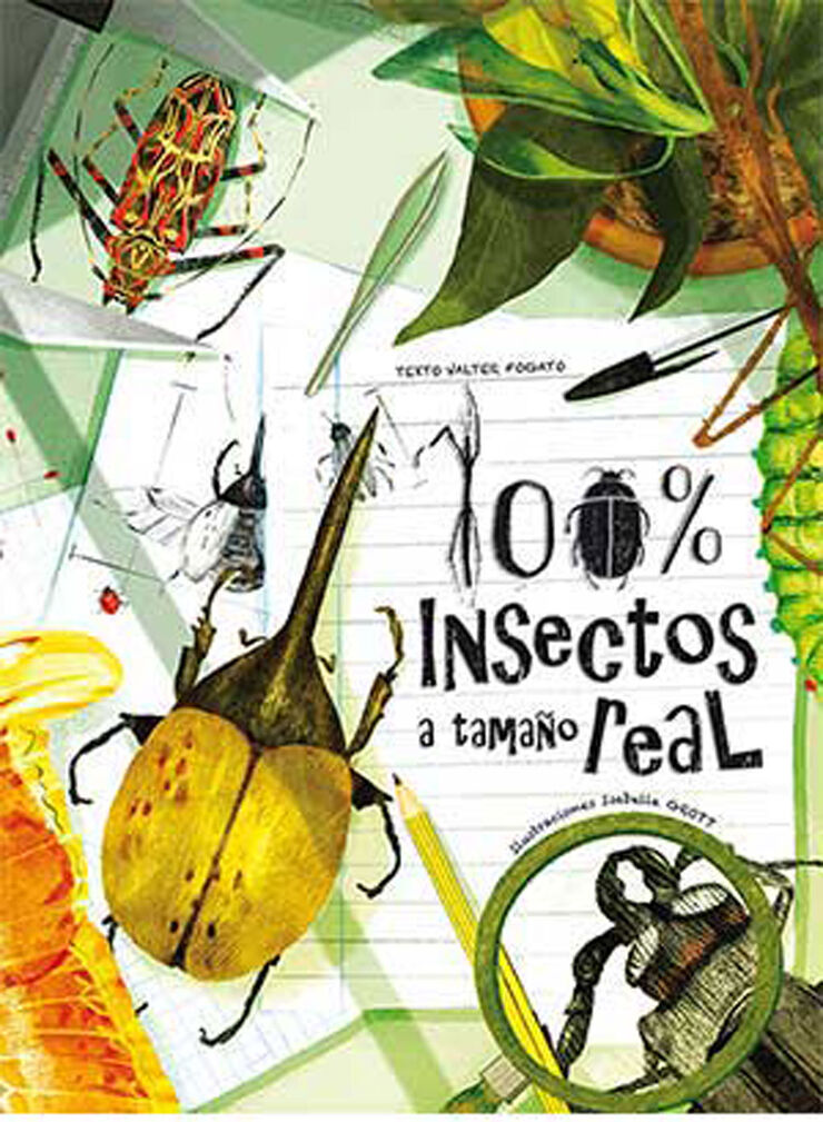 100% insectos a tamaño real