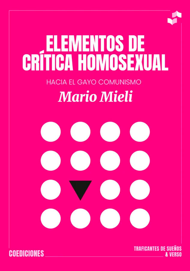 Elementos de cr&iacute;tica homosexual