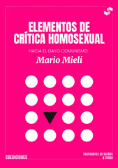Elementos de cr&iacute;tica homosexual
