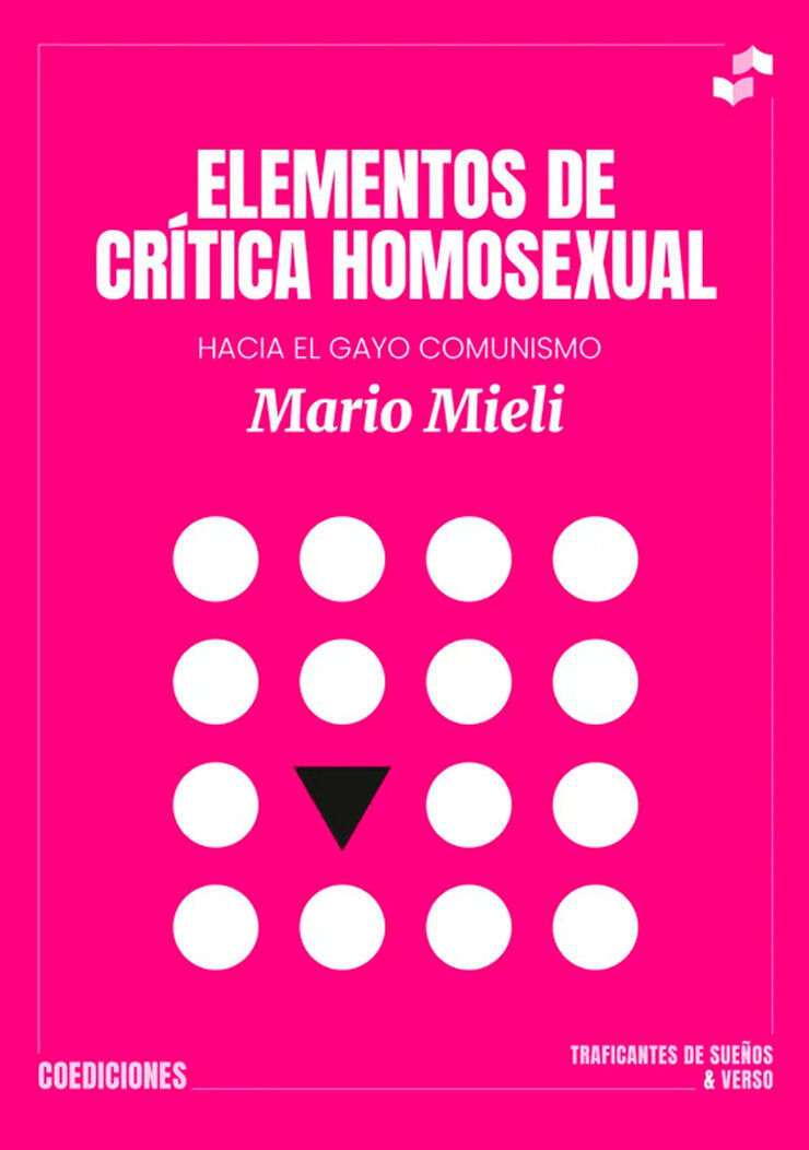 Elementos de cr&iacute;tica homosexual