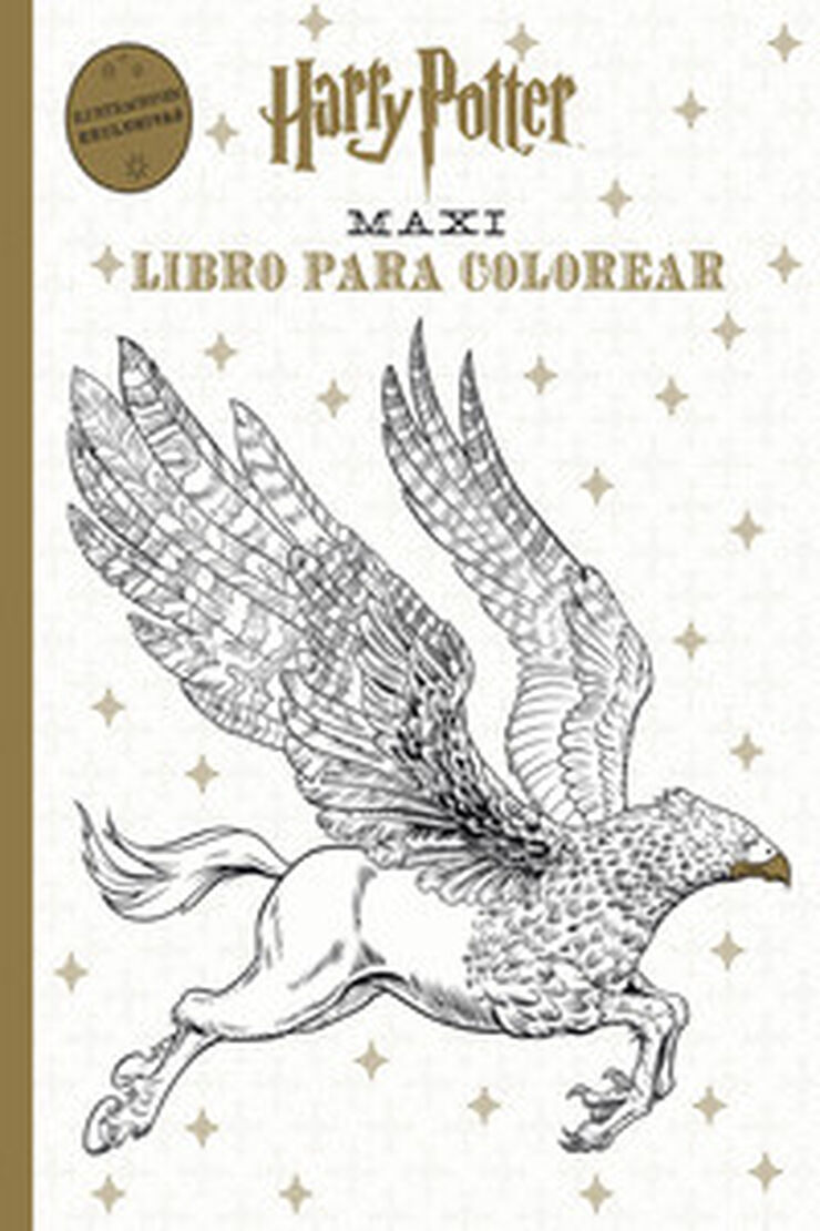 Harry Potter Maxi libro para colorear