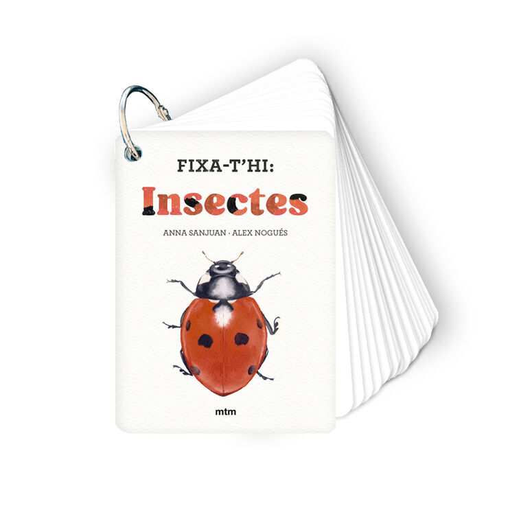 Fixa-t'hi: insectes
