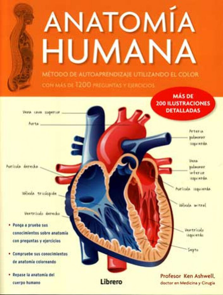 Anatomía humana