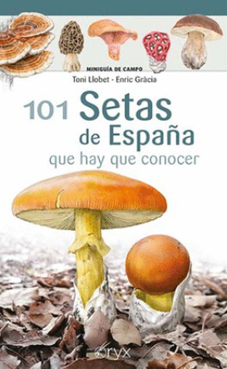 101 Setas de España