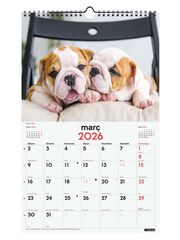 Calendario pared Finocam espiral 25x40 2026 Cachorros catalán