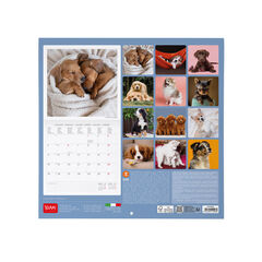 Calendario Legami 30x29 Pared Puppies Multiling&uuml;e 2027