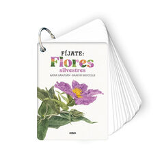 F&iacute;jate: flores silvestres