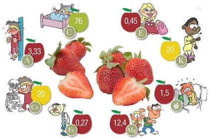 Food Fight Body - Frutas Food Fight Body - Frutas