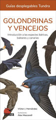 Golondrinas y vencejos. Introducción a las especies ibéricas, baleares y canarias Golondrinas y vencejos. Introducción a las especies ibéricas, baleares y canarias