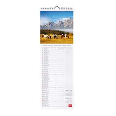 Calendario pared Legami 16X49 2024 Horses