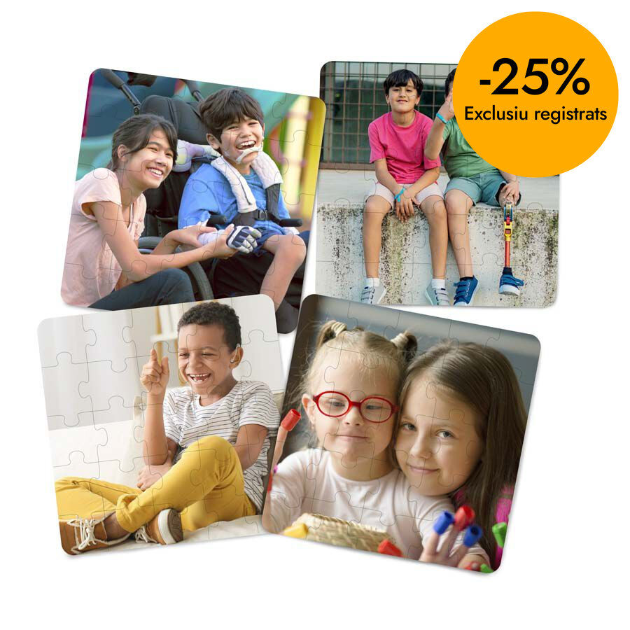 Puzzle de inclusi&oacute;n