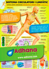 Adhac sistema circulatori/limfàtic