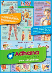 ADHAC Cos Humà/Sistemes i aparells
